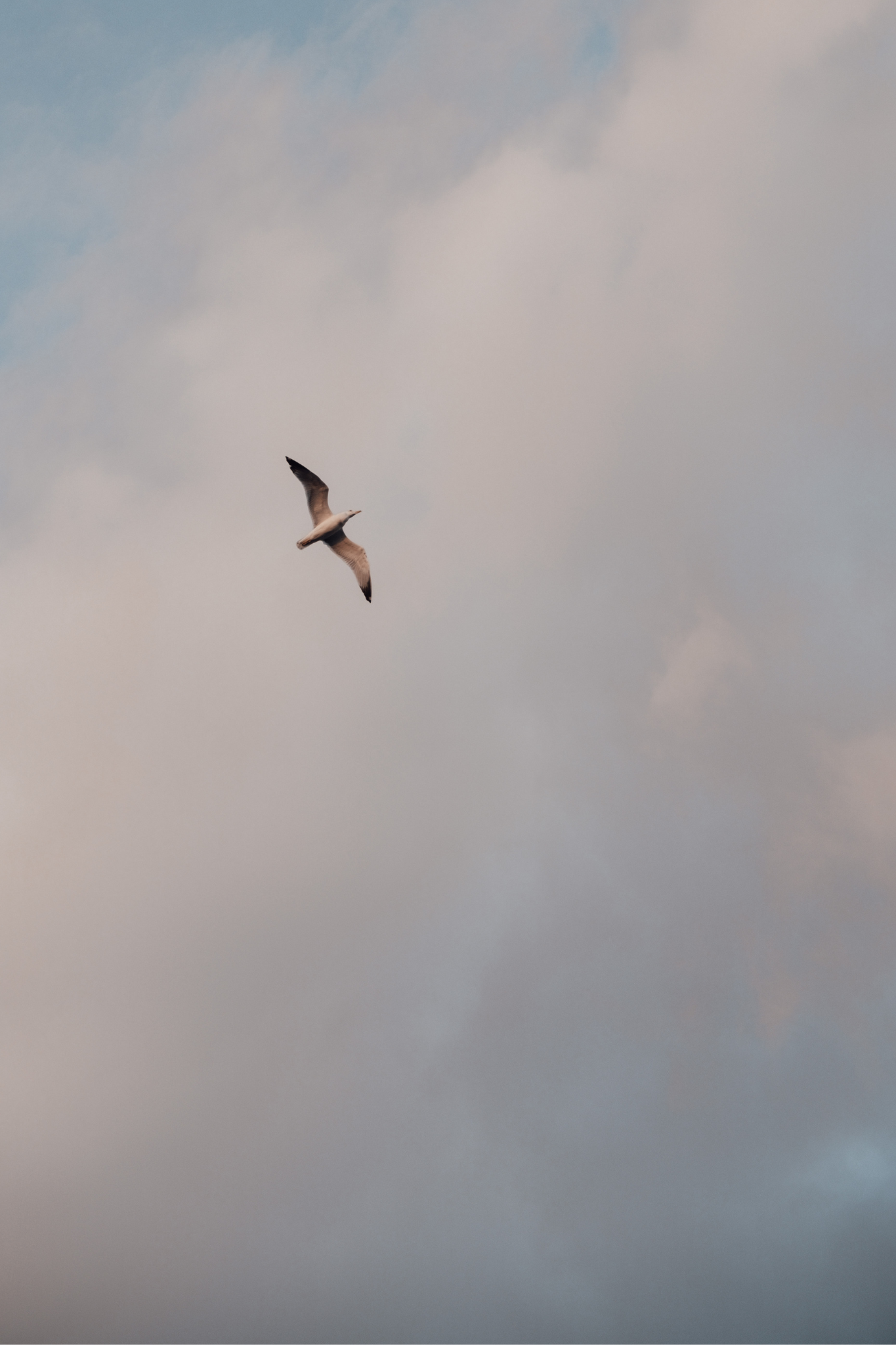 Patrizia Veroni Cambiamenti organizzativi Chi sono visione 2